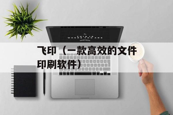 飞印（一款高效的文件印刷软件）-第1张图片-