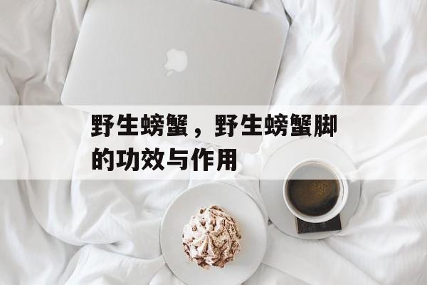 野生螃蟹，野生螃蟹脚的功效与作用-第1张图片-