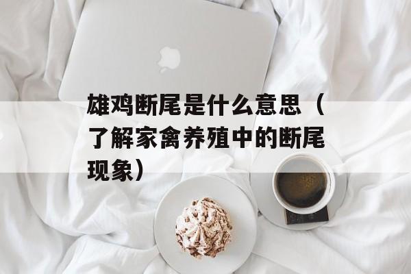 雄鸡断尾是什么意思（了解家禽养殖中的断尾现象）-第1张图片-