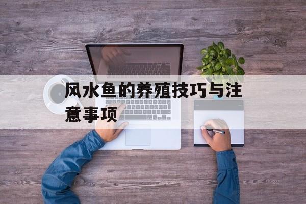 风水鱼的养殖技巧与注意事项-第1张图片-