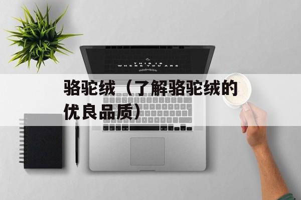 骆驼绒（了解骆驼绒的优良品质）-第1张图片-