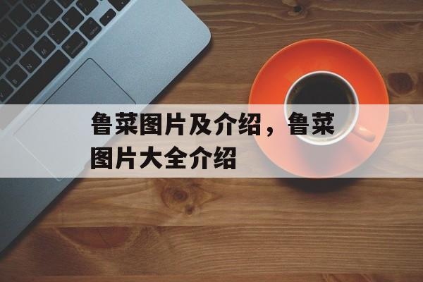鲁菜图片及介绍，鲁菜图片大全介绍-第1张图片-