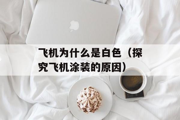 飞机为什么是白色（探究飞机涂装的原因）-第1张图片-