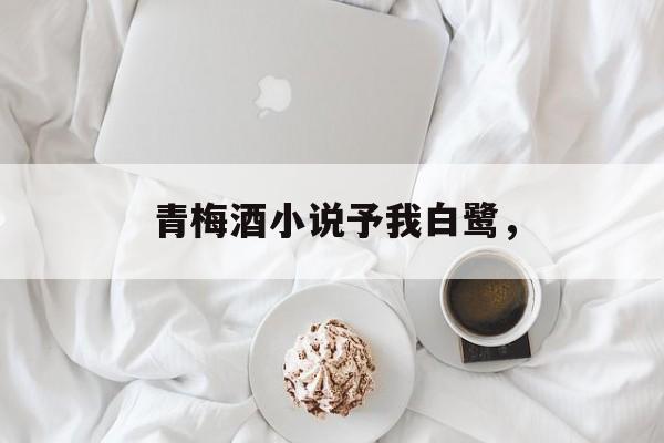 青梅酒小说予我白鹭，-第1张图片-