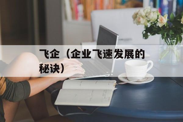 飞企（企业飞速发展的秘诀）-第1张图片-
