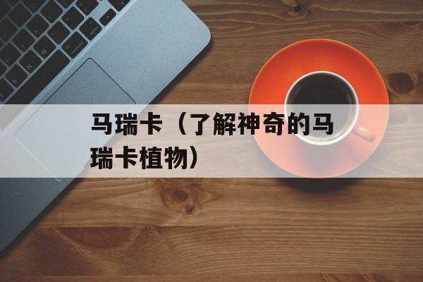 马瑞卡（了解神奇的马瑞卡植物）-第1张图片-