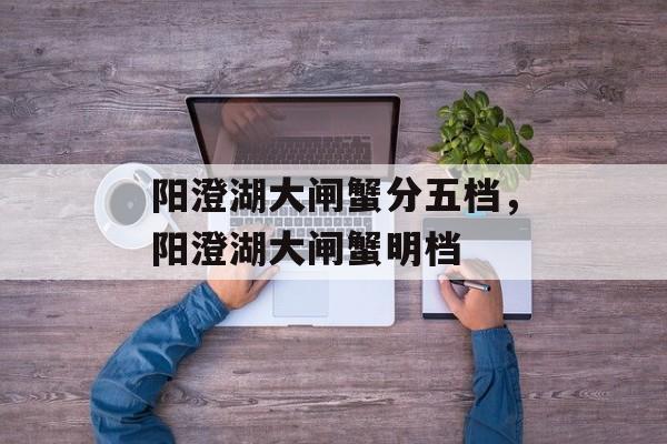 阳澄湖大闸蟹分五档，阳澄湖大闸蟹明档-第1张图片-