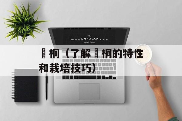 赪桐（了解赪桐的特性和栽培技巧）-第1张图片-