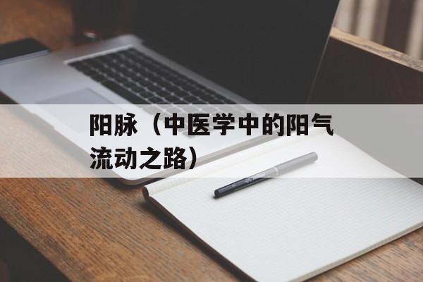 阳脉（中医学中的阳气流动之路）-第1张图片-
