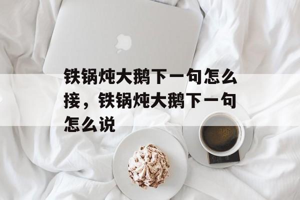铁锅炖大鹅下一句怎么接，铁锅炖大鹅下一句怎么说-第1张图片-