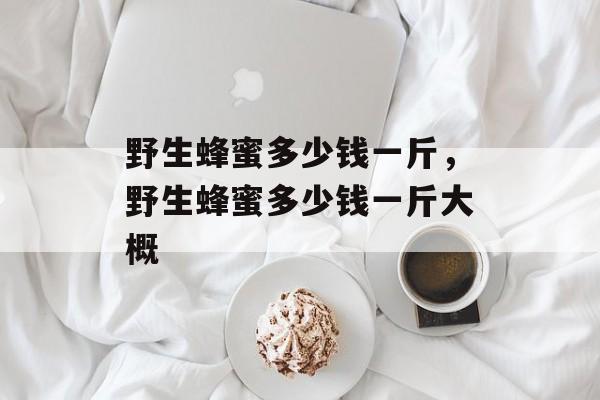 野生蜂蜜多少钱一斤，野生蜂蜜多少钱一斤大概-第1张图片-
