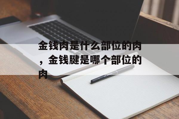金钱肉是什么部位的肉，金钱腱是哪个部位的肉-第1张图片-