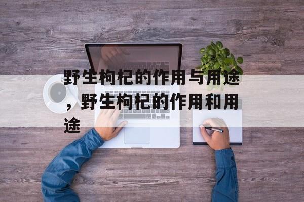 野生枸杞的作用与用途，野生枸杞的作用和用途-第1张图片-