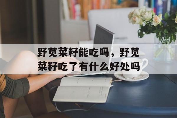 野苋菜籽能吃吗，野苋菜籽吃了有什么好处吗-第1张图片-