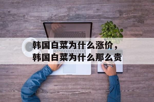韩国白菜为什么涨价，韩国白菜为什么那么贵-第1张图片-