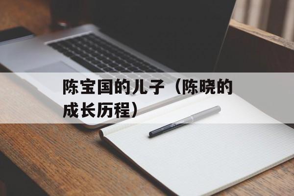陈宝国的儿子（陈晓的成长历程）-第1张图片-