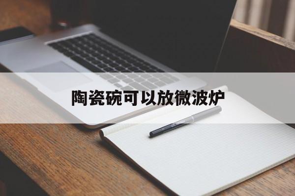 陶瓷碗可以放微波炉-第1张图片-
