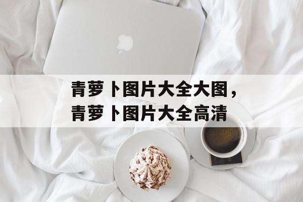 青萝卜图片大全大图，青萝卜图片大全高清-第1张图片-