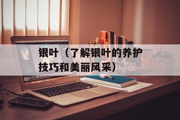 银叶（了解银叶的养护技巧和美丽风采）-第1张图片-