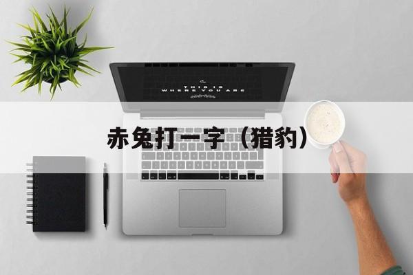 赤兔打一字（猎豹）-第1张图片-
