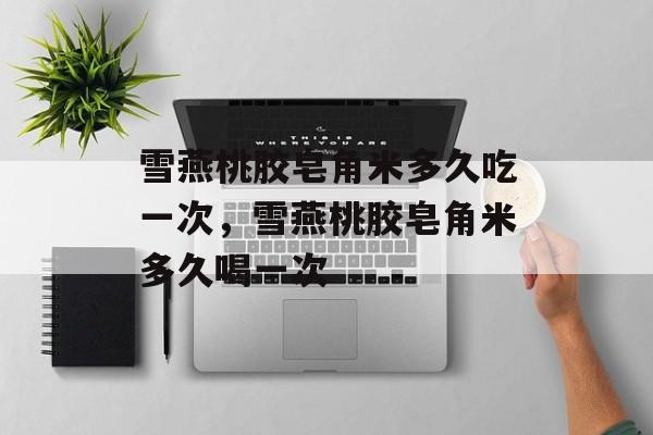 雪燕桃胶皂角米多久吃一次，雪燕桃胶皂角米多久喝一次-第1张图片-