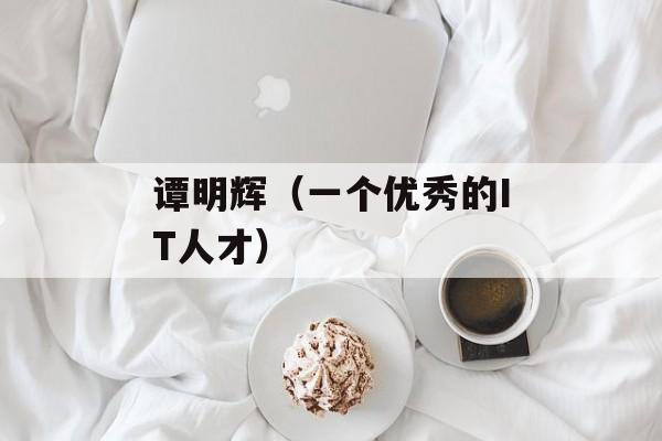 谭明辉（一个优秀的IT人才）-第1张图片-