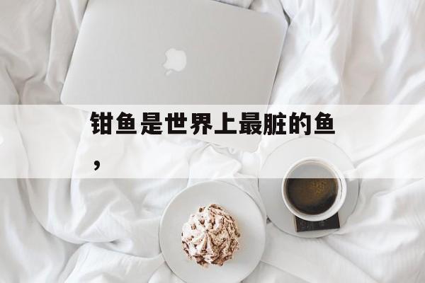 钳鱼是世界上最脏的鱼，-第1张图片-