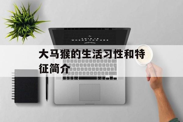 大马猴的生活习性和特征简介-第1张图片-