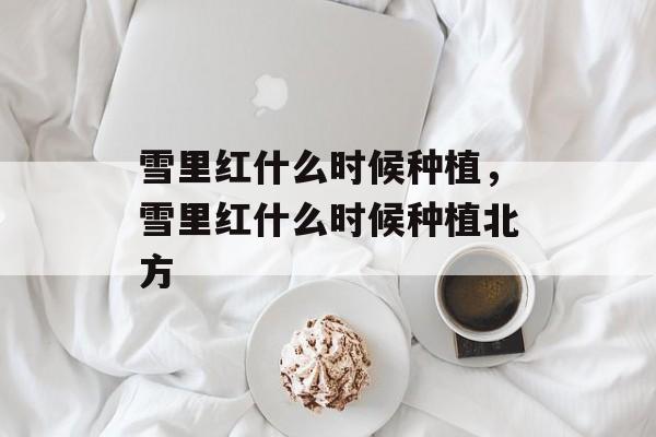 雪里红什么时候种植，雪里红什么时候种植北方-第1张图片-