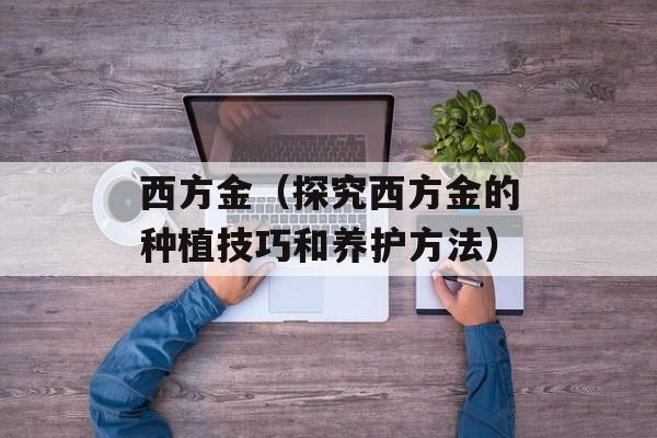 西方金（探究西方金的种植技巧和养护方法）-第1张图片-