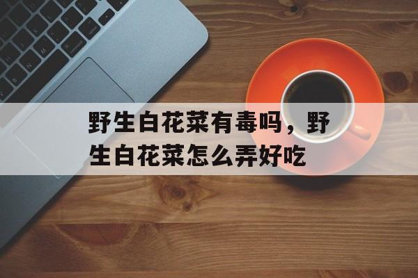 野生白花菜有毒吗，野生白花菜怎么弄好吃-第1张图片-