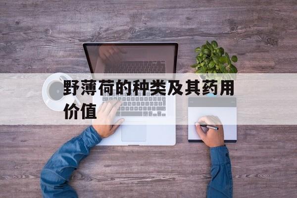 野薄荷的种类及其药用价值-第1张图片-
