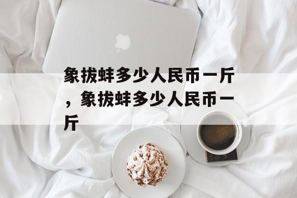 象拔蚌多少人民币一斤，象拔蚌多少人民币一斤-第1张图片-