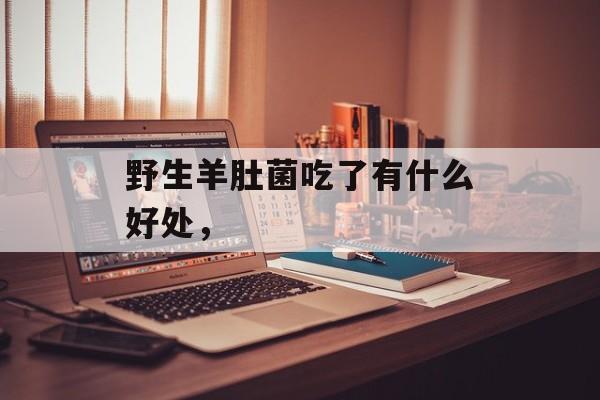 野生羊肚菌吃了有什么好处，-第1张图片-