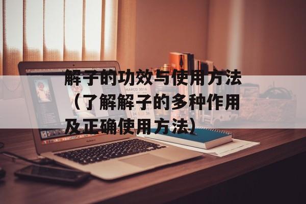 解子的功效与使用方法（了解解子的多种作用及正确使用方法）-第1张图片-