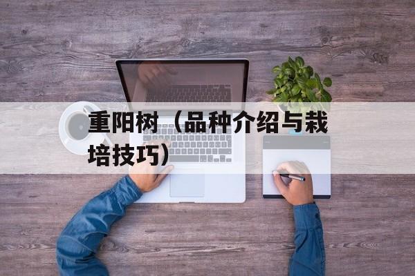 重阳树（品种介绍与栽培技巧）-第1张图片-