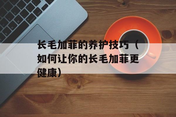 长毛加菲的养护技巧（如何让你的长毛加菲更健康）-第1张图片-