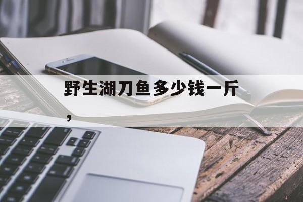 野生湖刀鱼多少钱一斤，-第1张图片-