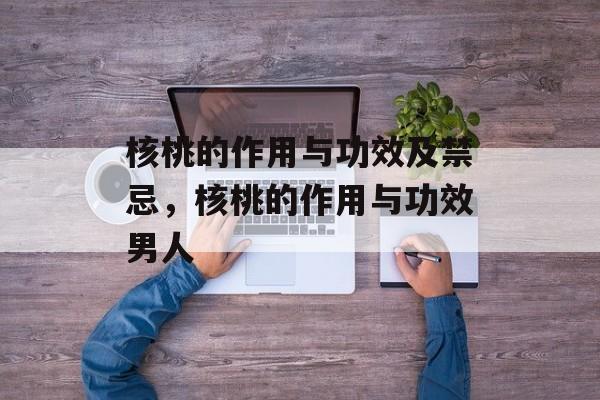 核桃的作用与功效及禁忌，核桃的作用与功效男人-第1张图片-