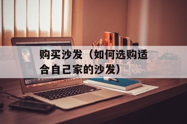 购买沙发（如何选购适合自己家的沙发）-第1张图片-