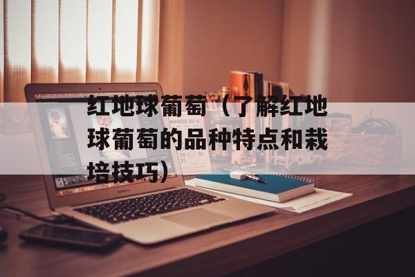 红地球葡萄（了解红地球葡萄的品种特点和栽培技巧）-第1张图片-