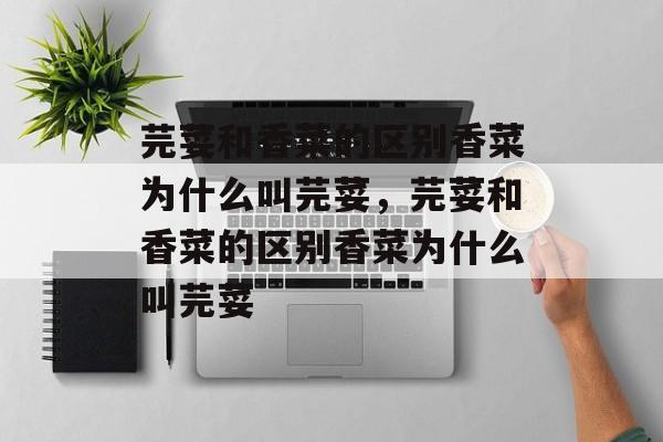 芫荽和香菜的区别香菜为什么叫芫荽，芫荽和香菜的区别香菜为什么叫芫荽-第1张图片-