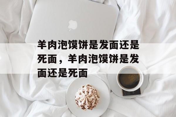 羊肉泡馍饼是发面还是死面，羊肉泡馍饼是发面还是死面-第1张图片-