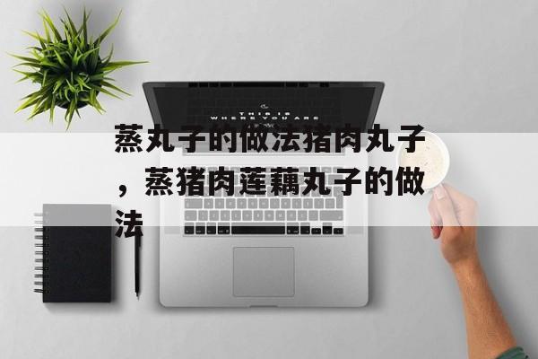 蒸丸子的做法猪肉丸子，蒸猪肉莲藕丸子的做法-第1张图片-