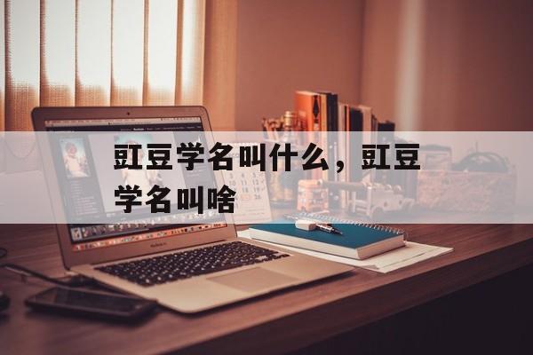 豇豆学名叫什么，豇豆学名叫啥-第1张图片-