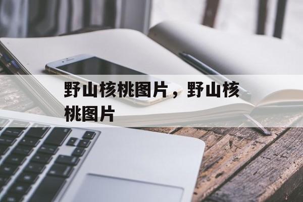 野山核桃图片，野山核桃图片-第1张图片-