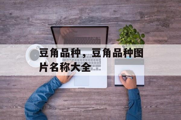 豆角品种，豆角品种图片名称大全-第1张图片-