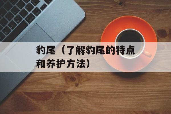 豹尾（了解豹尾的特点和养护方法）-第1张图片-
