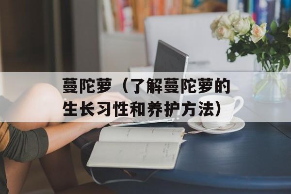 蔓陀萝（了解蔓陀萝的生长习性和养护方法）-第1张图片-
