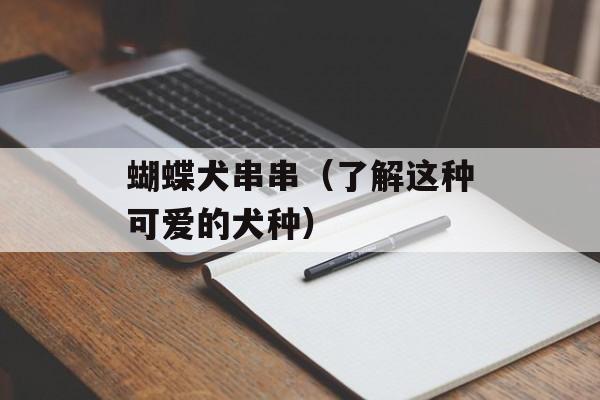 蝴蝶犬串串（了解这种可爱的犬种）-第1张图片-